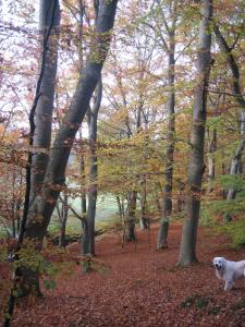 Dejligt feriehus med Panoramaudsigt