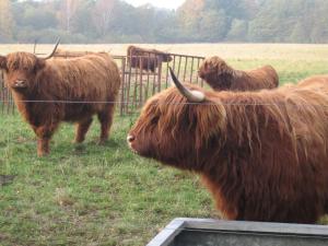 Dejligt feriehus med Panoramaudsigt