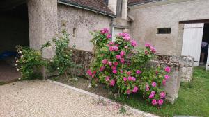 Maisons de vacances Longere du sud Touraine au Coeur du Val de Loire : photos des chambres