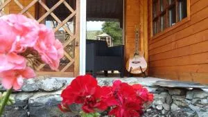 Casa do Ouriço - Campelo