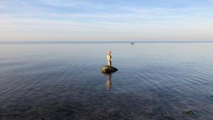 Honeymoon, kleines aber feines Cottage am Strand