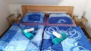 Two-Bedroom Apartment room in Roubenka U Třeboně