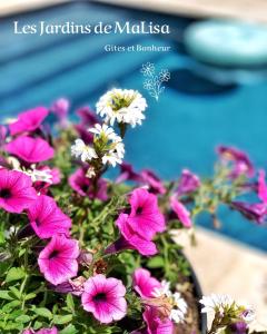Les Jardins de MaLisa - Adulte Only -