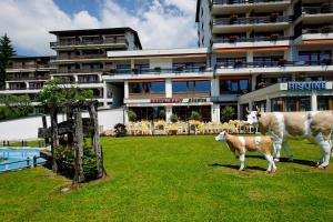 4 star hôtel Eurotel Victoria Villars-sur-Ollon Suisse