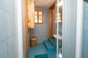 Apartma waterfall Slap