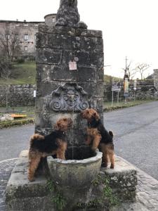 Allombra del Castello