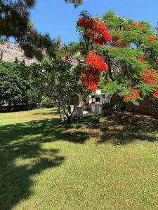 Villa Melita Seafront Rhodes Greece