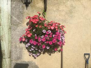 Le Palland photo 24