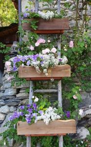 B&B / Chambres d'hotes La Ferme d'Angele : photos des chambres