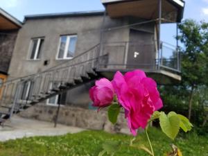 Apartment Kiara, Kazbegi, Sioni