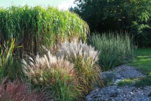 Aux Neuf Saules photo 12