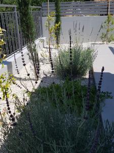 Evmelia Kakopetria Suites