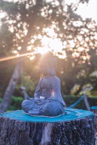 Farm stay Synergia - Hiden treasure