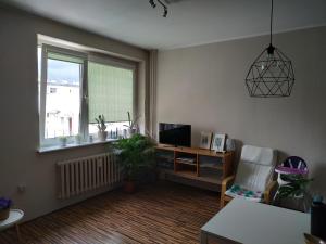 Apartament Swietojanska 139