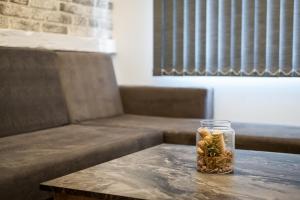 Sofia Downtown Life Apartment