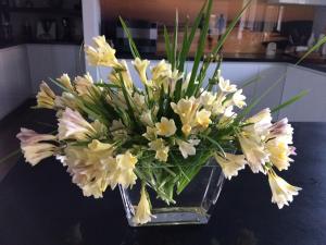 ON Keppies - BnB - Family Farm & Wedding Guest Accommodation Paterson NSW