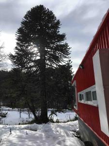 Refugio de Montaña Corralco