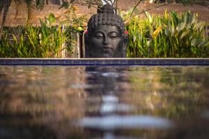 United Colors of Bali