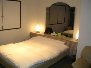 尼塞科 Niseko Youraku Hotel 2星级 住宿 大堂