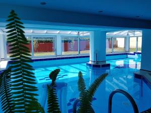 Apartments Ana Wellness