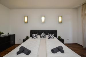 Apartmán Castle Apartment With Panoramic Balcony Budapešť Maďarsko