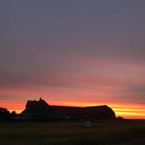 Bjerrumgaard bed and breakfast