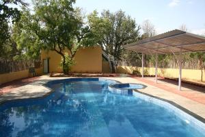 Baaz Jungle Resort