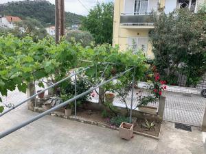 Rania House Thassos Greece