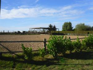 la mini ferme de maëlou photo 6