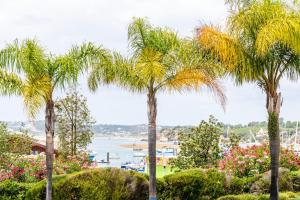 Clube Alvor Ria - Prime Residence