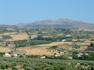 Partido de los Frontones, S/N, 29400, Ronda, Spain.