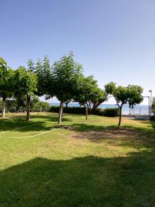 Lagounaris Beach Hotel Zakynthos Greece