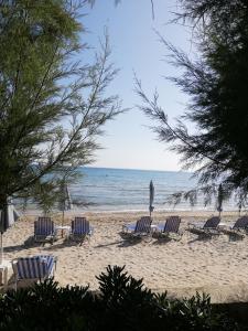 Lagounaris Beach Hotel Zakynthos Greece