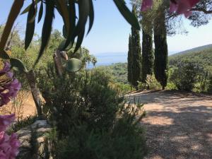 Villetta Straccoligno