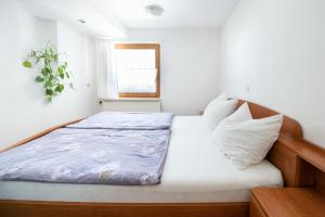 Mateja House - Apartments in Žirovnica