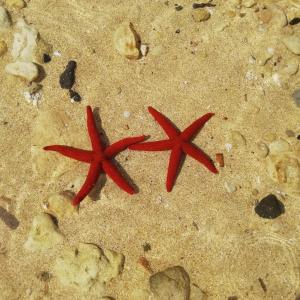 Appartamento Joanna img45