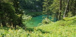 Hotel Des Alpes - Restaurant & Pizzeria