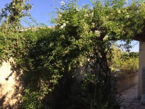 Punta Nera img32