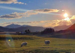 Stafafell Nature Park Camping
