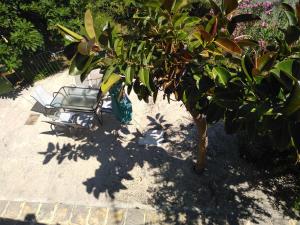 mare di zante "mare di levante"