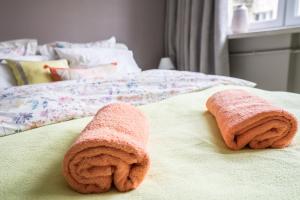 Sunny Wisła River Apartment