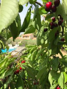 Villas le Gecko en Provence : photos des chambres