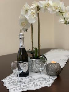 Apartament Marka