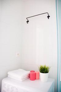 Loft Apartment