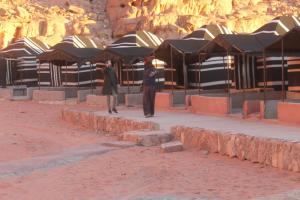 wadi rum Experience camp&tours