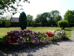 B&B / Chambres d'hotes Chambres d'hote du Domaine de la Reine Blanche : photos des chambres