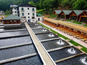 3 star Отель Lostrita - Pastravrie, Hotel & SPA Valea Neagră Румыния