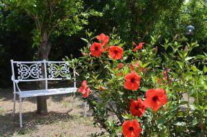 Baia della Serenità