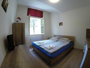 Appartement Apartment Komenskeho Hradec Králové Tchéquie