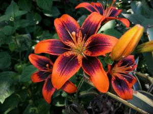 Fónagy és Walter Vendég- és Borház